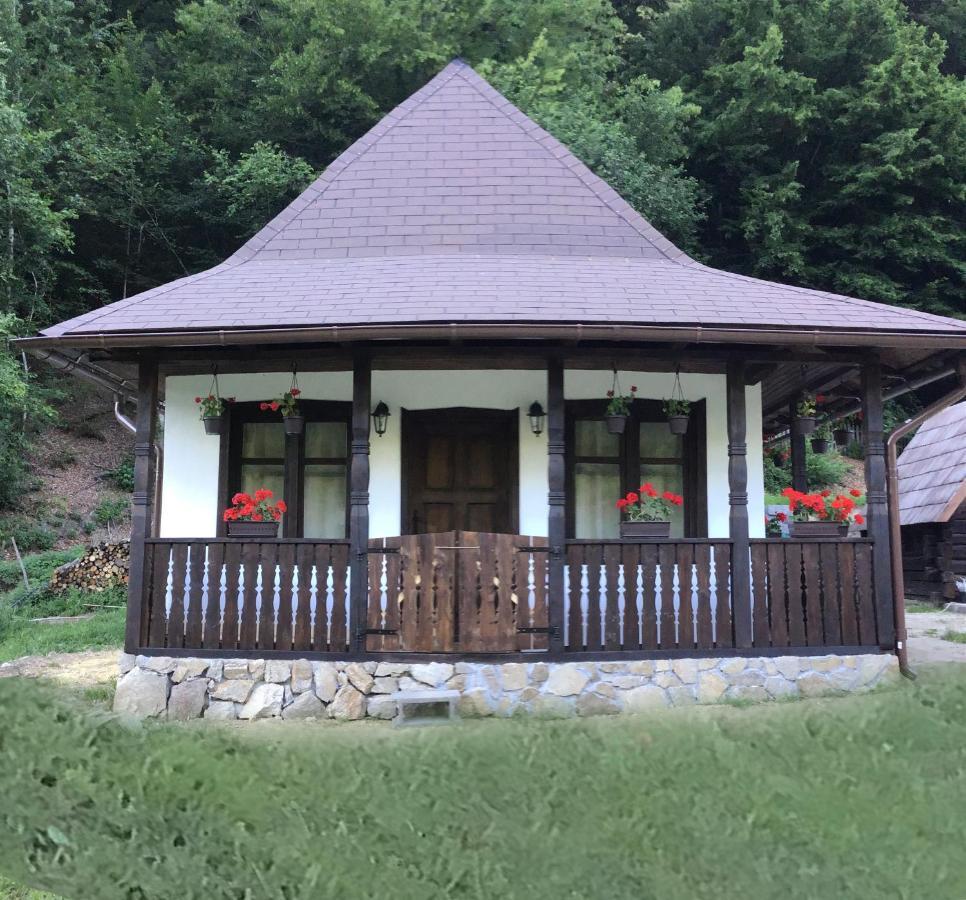 Casuta Din Valea Regilor Villa Gradistea de Munte Ngoại thất bức ảnh