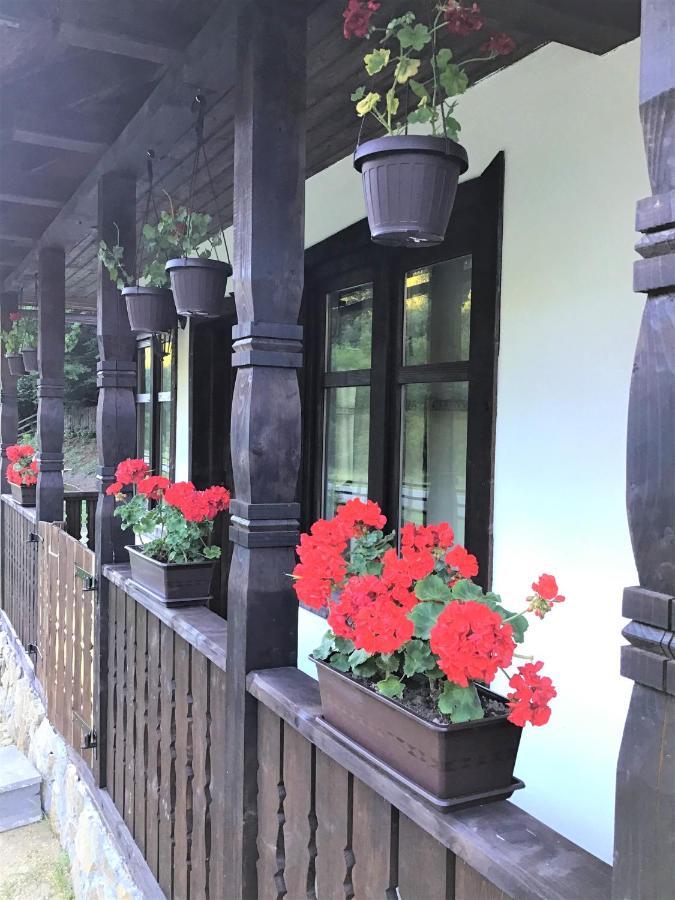 Casuta Din Valea Regilor Villa Gradistea de Munte Ngoại thất bức ảnh