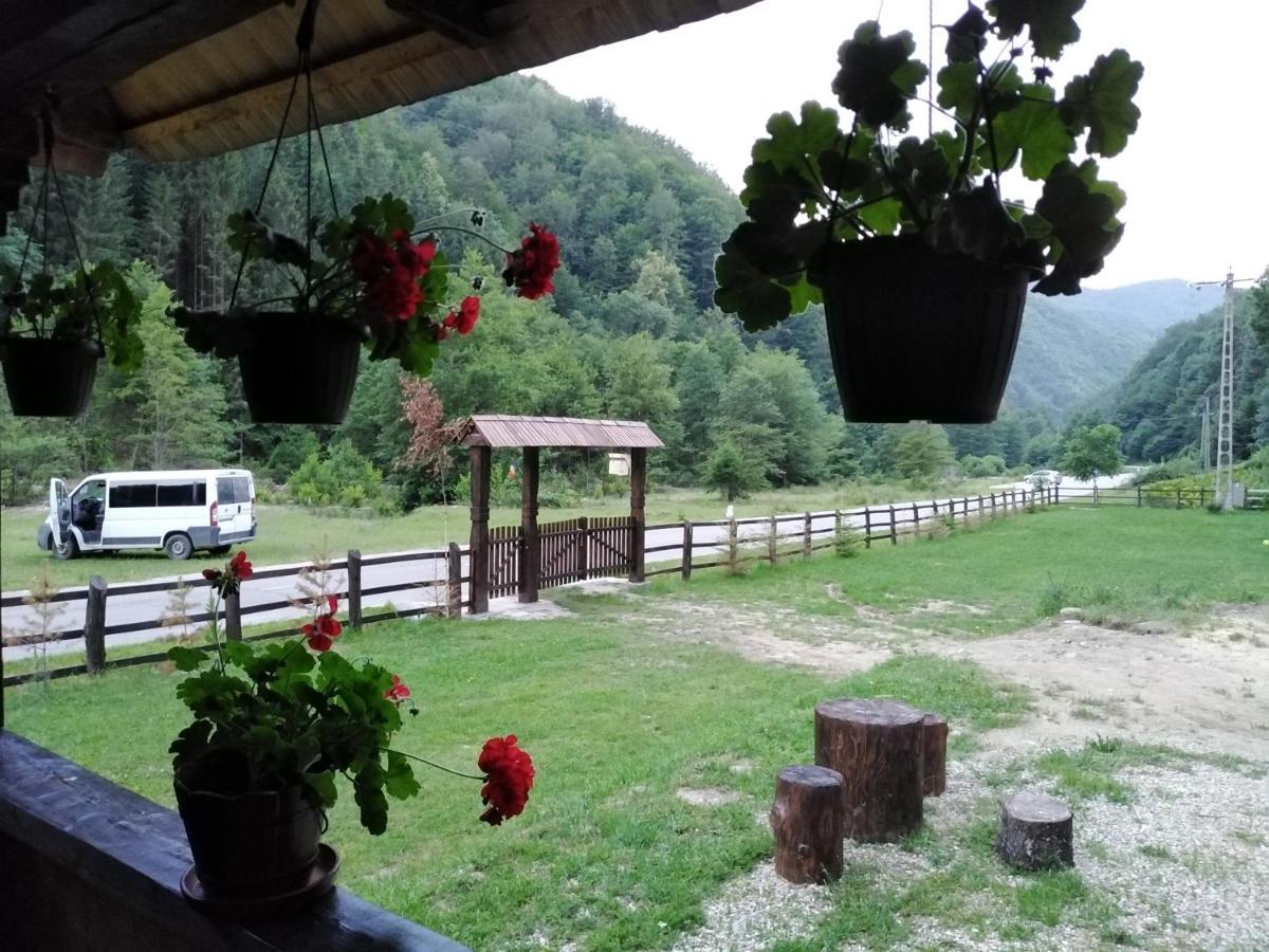 Casuta Din Valea Regilor Villa Gradistea de Munte Ngoại thất bức ảnh