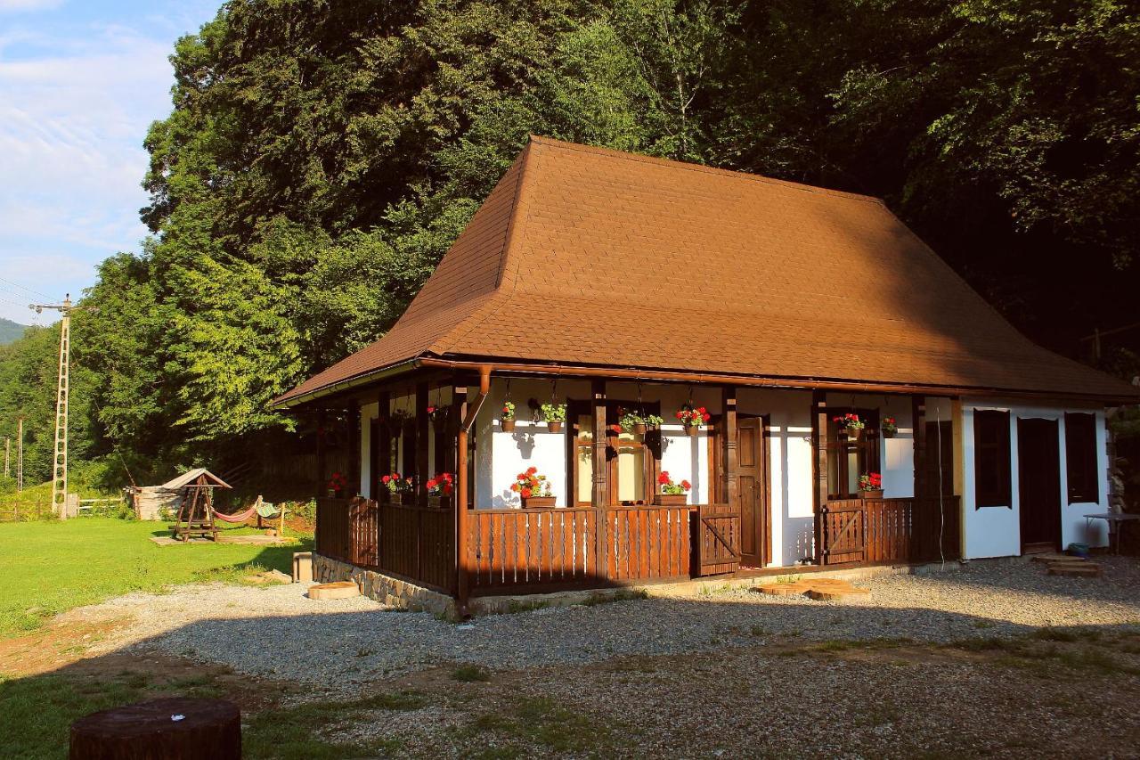 Casuta Din Valea Regilor Villa Gradistea de Munte Ngoại thất bức ảnh