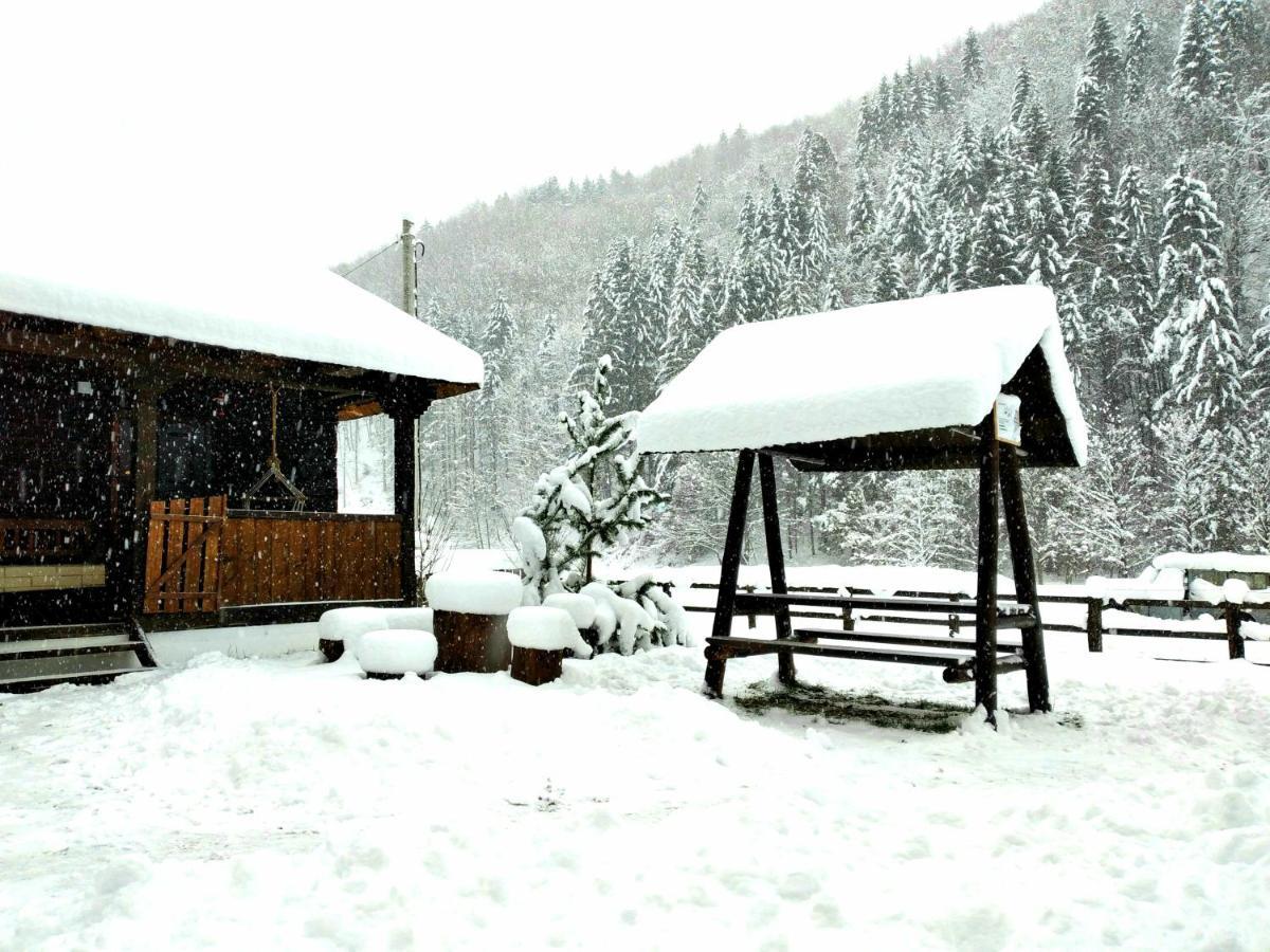 Casuta Din Valea Regilor Villa Gradistea de Munte Ngoại thất bức ảnh
